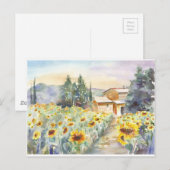 Zonnebloemen in Provence Briefkaart (Voorkant / Achterkant)