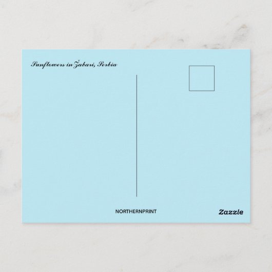 Zonnebloemen in Žabari Servië Briefkaart (Achterkant)