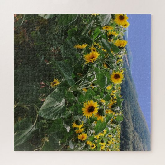 Zonnebloemen in Zuid-Frankrijk Legpuzzel (Horizontaal)
