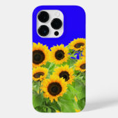 Zonnebloemen iPhone Case Oekraïne vlag kleuren (Achterkant)