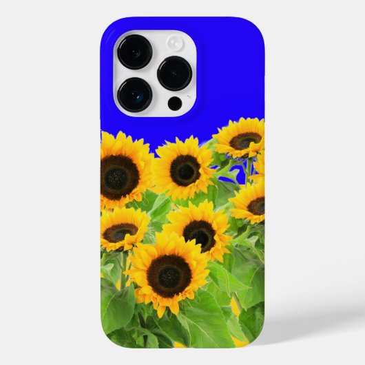 Zonnebloemen iPhone Case Oekraïne vlag kleuren (Achterkant)