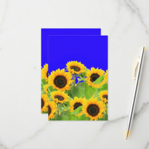 Zonnebloemen Kaart Oekraïne Vlag kleuren