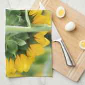 Zonnebloemen keukenhanddoek (Quarter Fold)