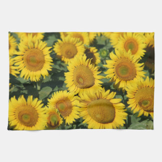 Zonnebloemen keukenhanddoek 16 x 24 inch
