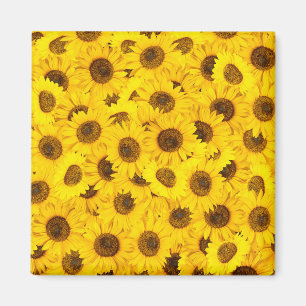 Zonnebloemen Magneet