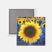 Zonnebloemen Magneet (Voorkant / Achterkant)