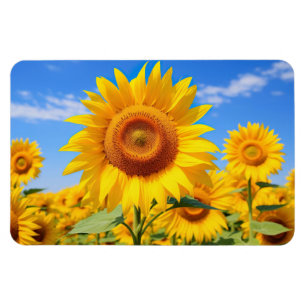 Zonnebloemen Magnet Magneet