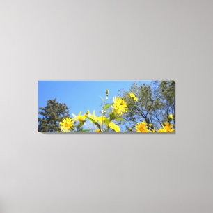 Zonnebloemen N Sky verpakte Canvas Print