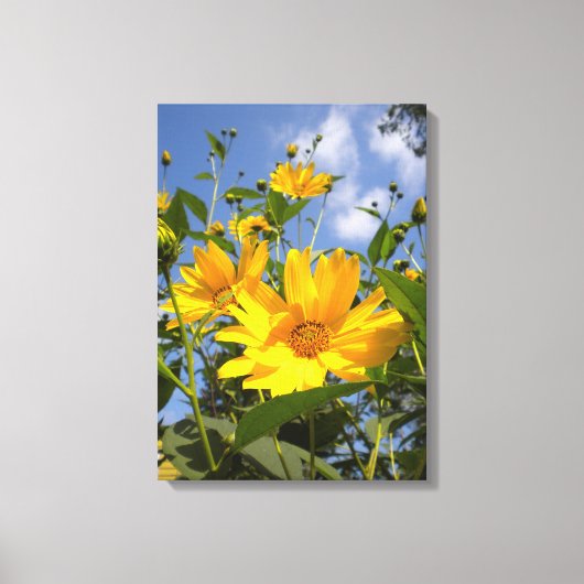 Zonnebloemen N Sky Wrapped Canvas (Voorkant)