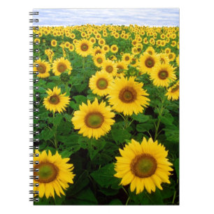 Zonnebloemen Notitieboek