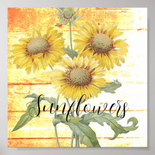 Zonnebloemen op hout poster