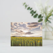 Zonnebloemen op Sunset Briefkaart (Staand voorkant)