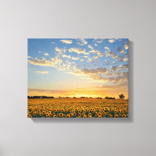 Zonnebloemen op Sunset Canvas Afdruk (Voorkant)