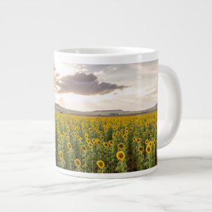 Zonnebloemen op Sunset Extra Grote Beker