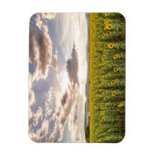 Zonnebloemen op Sunset Magneet (Verticaal)