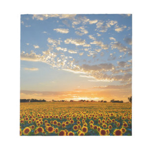 Zonnebloemen op Sunset Notitieblok