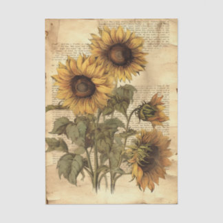 Zonnebloemen op versleten stijl perkament met schr tissuepapier