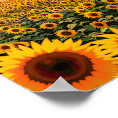 Zonnebloemen Poster (Hoek)