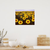 Zonnebloemen Poster (Keuken)