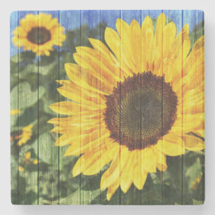 Zonnebloemen Schilderd hek Stenen Onderzetter