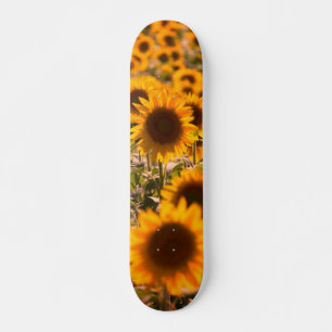 Zonnebloemen Skateboard