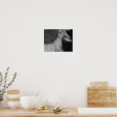 Zonnebloemen Sluiten Zwarte Witte Foto's Poster (Keuken)