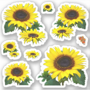Zonnebloemen Sticker