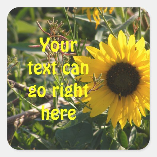 Zonnebloemen Stickers (Voorkant)