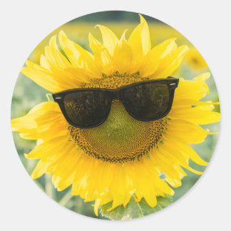 Zonnebloemen Stickers | Snoepbloemen