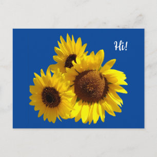 Zonnebloemen uitknippen Foto op Blue Briefkaart