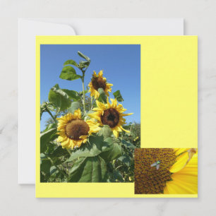 Zonnebloemen Uitnodigingskaart Kaart
