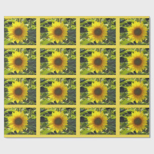 Zonnebloemen voor de Zassy Zomer Cadeaupapier