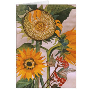 Zonnebloemen Waterverf Schilderen 3 Ventilatorkaar