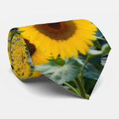 Zonnebloemen, Wisconsin Stropdas (Opgerold)