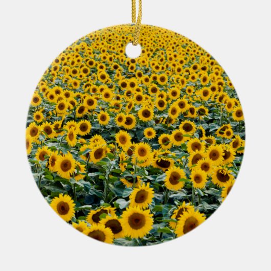 Zonnebloemen, Wisconsin veld Keramisch Ornament (Voorkant)