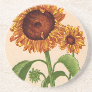 zonnebloemen zandsteen onderzetter