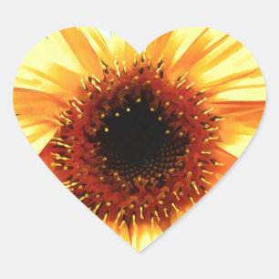 Zonnebloemen Zonnebloemkaartjes Hart Sticker
