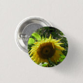 Zonnebloementeelt Button (Voorkant /achterkant)