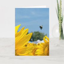 Zonnebloemfotografie met hommel Lege kaart