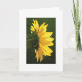 Zonnebloemfotokaart Kaart (Voorkant)