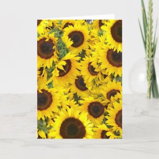 Zonnebloemfotokaarten Kaart