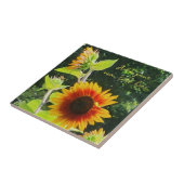 Zonnebloemglas Tegeltje (Zijkant)