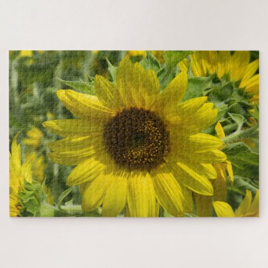 Zonnebloemgoud Legpuzzel (Horizontaal)