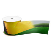 ZONNEBLOEMHEUVEL LINT (Spoel)