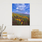 Zonnebloemheuvel, poster (Keuken)