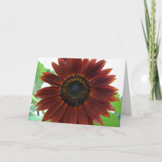 Zonnebloemkaart Kaart