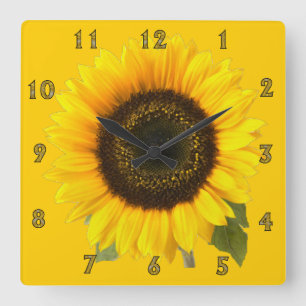 Zonnebloemkast Vierkante Klok