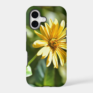 Zonnebloemkoffer