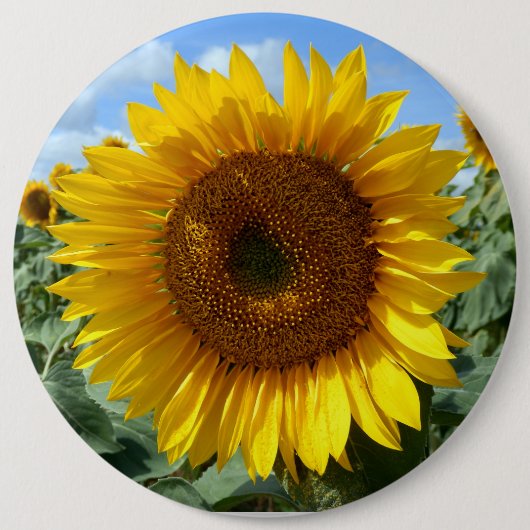 Zonnebloemkolossale ronde badge button 6,0 cm (Voorkant)