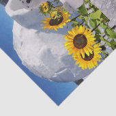 Zonnebloemkool, Beer Tissuepapier (Detail)